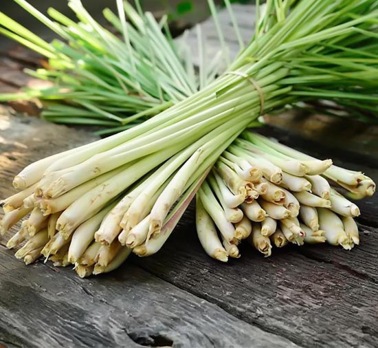 Củ sả