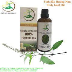 Tinh dầu hương nhu - Tinh Dầu Newoil Aromavn - Công Ty TNHH Tinh Dầu Và Chất Thơm HT