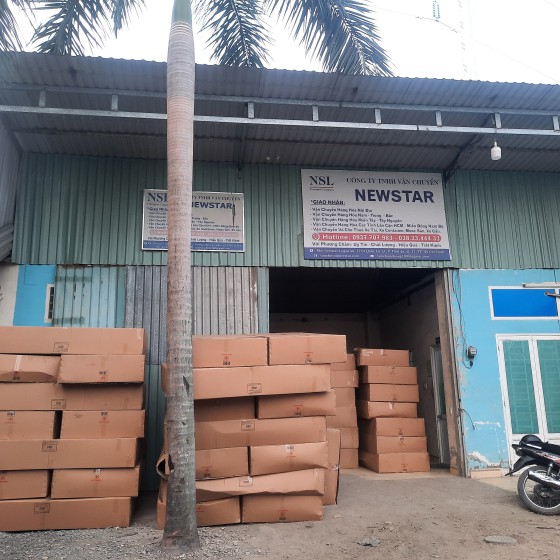 Hoạt động Công ty Newstar