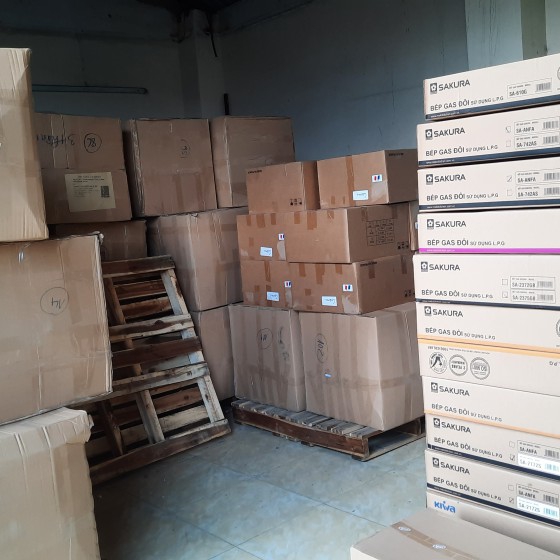 Hoạt động Công ty Newstar