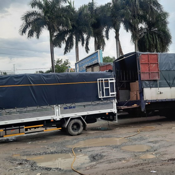 Hoạt động Công ty Newstar