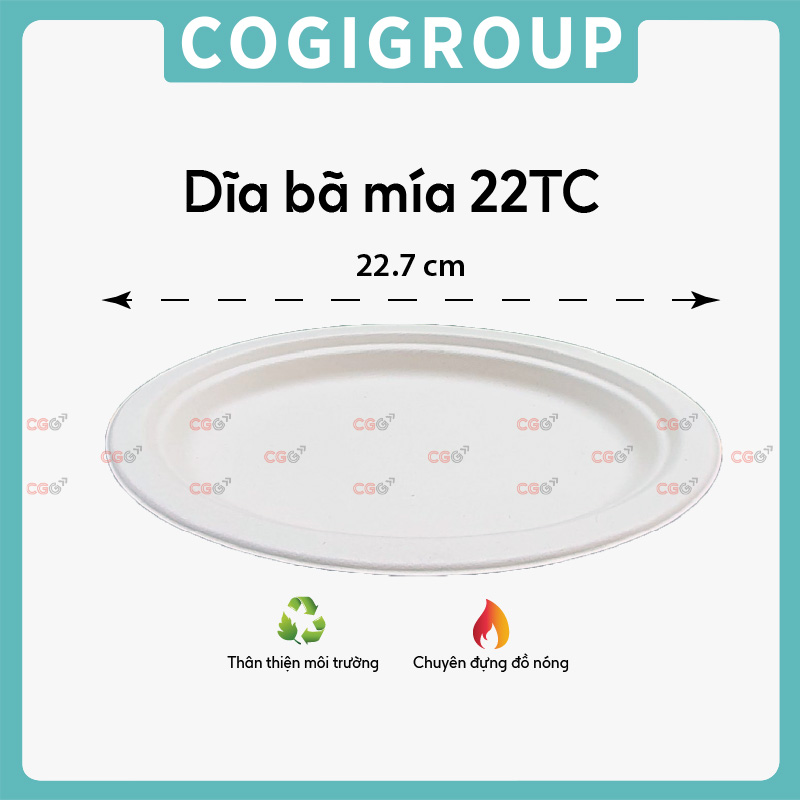 Đĩa bã mía 22TC