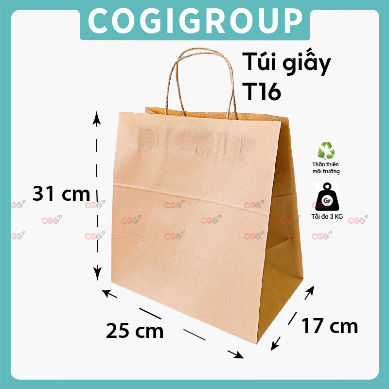 Túi giấy T16