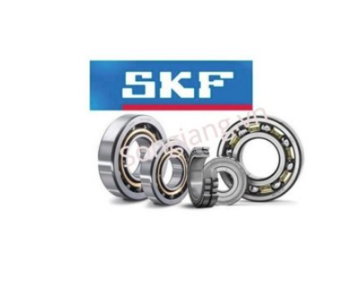 Vòng bi SKF - Công Ty TNHH Sơn Giang Việt Nam