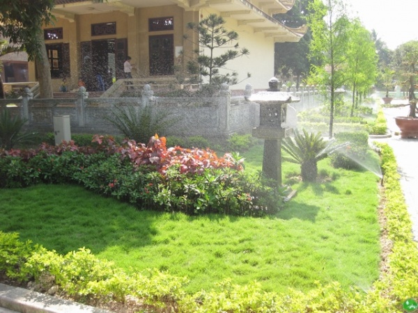 Dịch vụ chăm sóc cây xanh - Dịch Vụ Môi Trường Đức Hòa - Công Ty Cổ Phần Đô Thị Đức Hòa