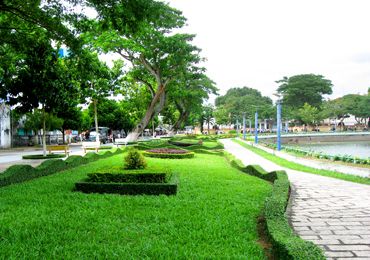 Dịch vụ chăm sóc cây xanh - Dịch Vụ Môi Trường Đức Hòa - Công Ty Cổ Phần Đô Thị Đức Hòa