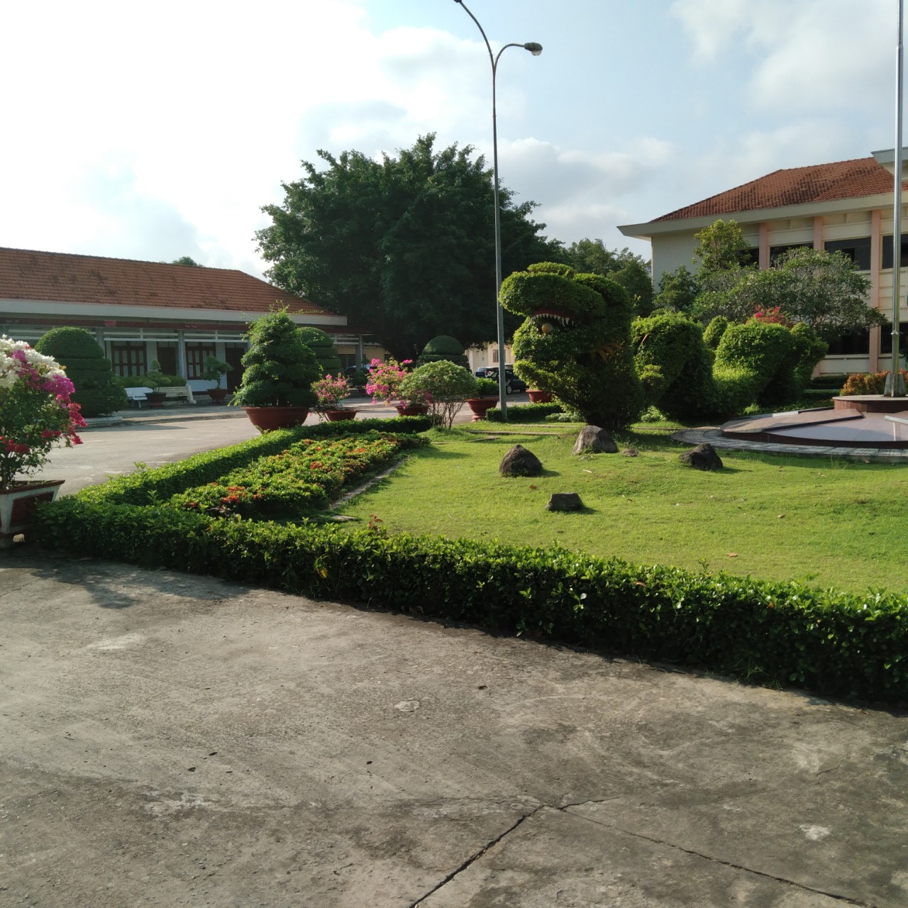 Dịch vụ chăm sóc cây xanh - Dịch Vụ Môi Trường Đức Hòa - Công Ty Cổ Phần Đô Thị Đức Hòa