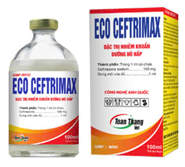 Thuốc điều trị nhiễm trùng Eco Ceftrimax B