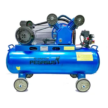 Máy nén khí Pegasus TM-W-0.9/8-500L