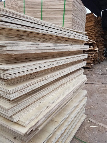 Ván ép bao bì - Ván ép Bao Bì Hiệp Plywood - Công Ty TNHH Hiệp Plywood