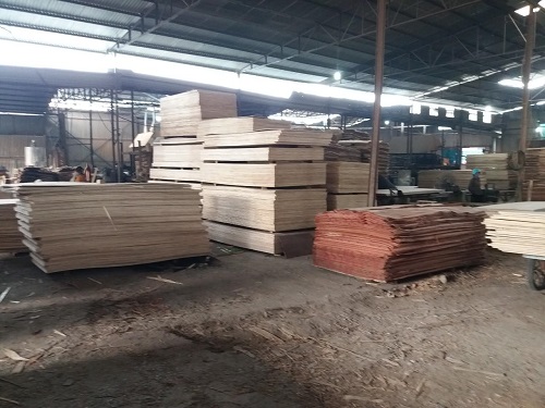 Hình ảnh kho xưởng - Ván ép Bao Bì Hiệp Plywood - Công Ty TNHH Hiệp Plywood