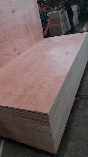 Ván ép bao bì - Ván ép Bao Bì Hiệp Plywood - Công Ty TNHH Hiệp Plywood