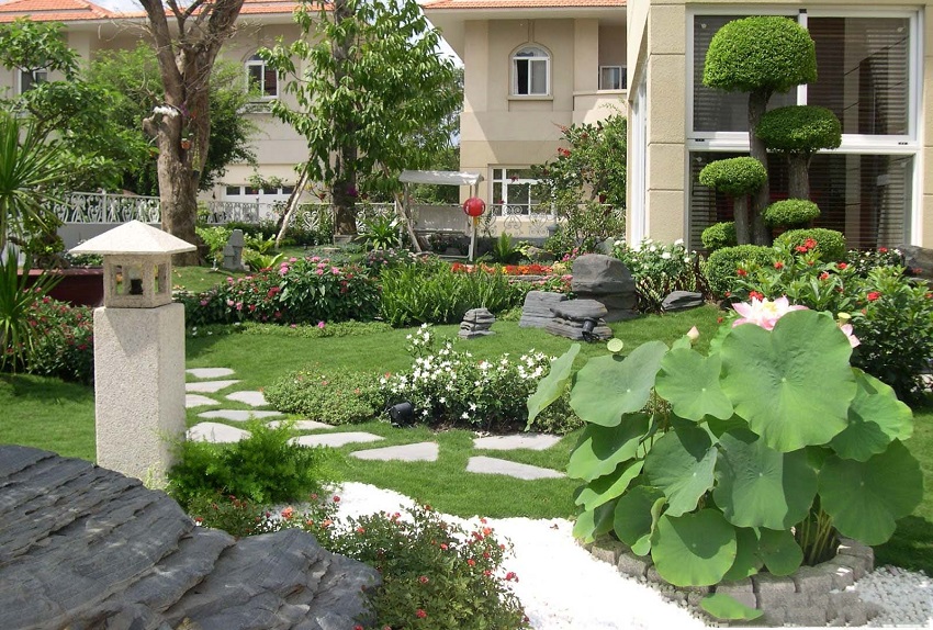Dịch vụ chăm sóc và cắt tỉa cây xanh