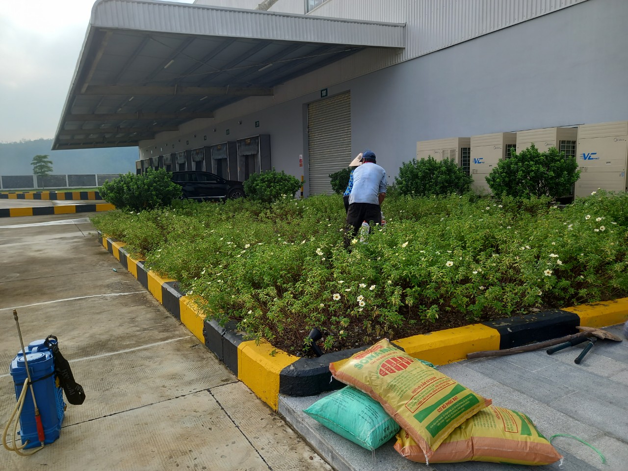 Dịch vụ chăm sóc cây xanh