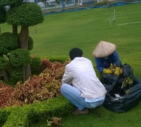 Dịch vụ thiết kế cảnh quan