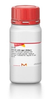 Nutrient Agar