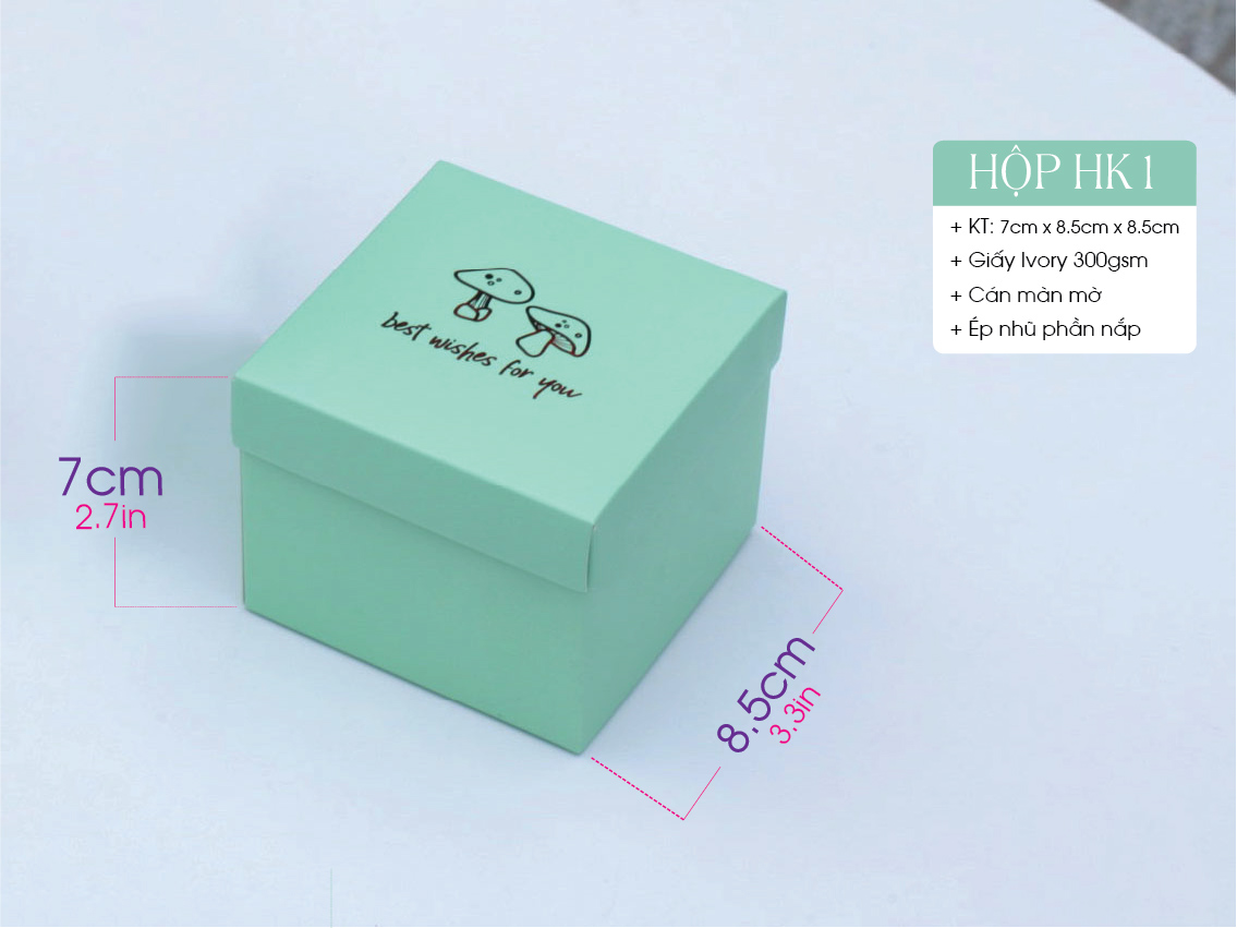 Hộp HK: Hộp bánh nắp rời