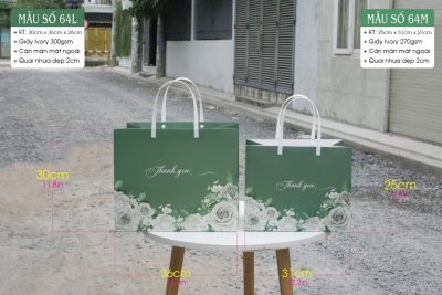 Mẫu 64: Túi đựng hộp quà