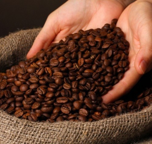 Cà phê - Xưởng Sản Xuất Cà Phê Brownka - Công Ty TNHH Xuất Nhập Khẩu DVTM Kiến An
