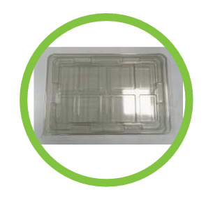 Khay nhựa định hình