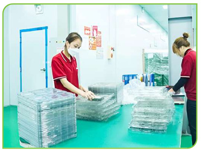 Khu vực ngoại quan