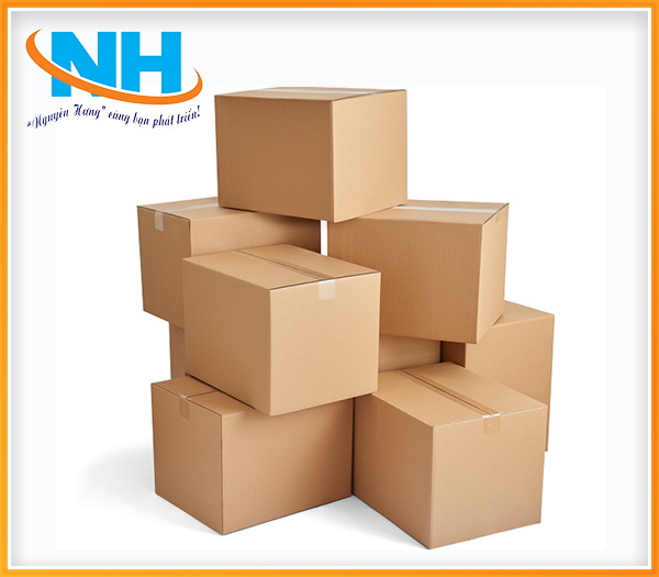 Carton lạnh - Giấy Ngành May Nguyên Hưng - Công Ty TNHH Đầu Tư Thương Mại Và Xuất Nhập Khẩu Nguyên Hưng