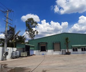 Công ty Kim Thanh Bến Tre - Điện Đại Phú - Công Ty Trách Nhiệm Hữu Hạn Một Thành Viên Xây Dựng Điện Đại Phú