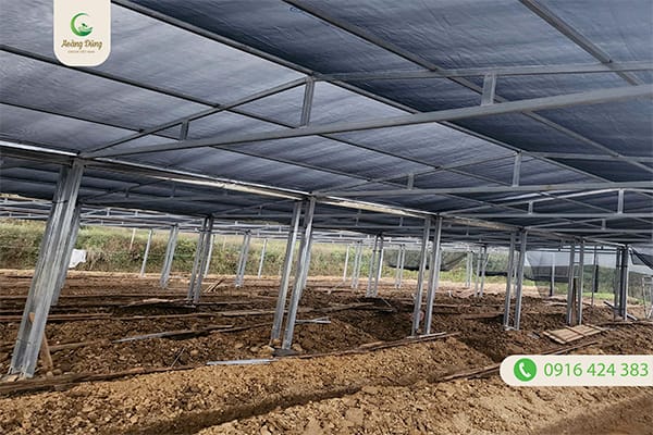 Dự án lưới che nắng Đài Loan 140g làm vườn ươm - Lưới Nông Nghiệp Hoàng Dũng Green - Công Ty TNHH Hoàng Dũng Green Việt Nam
