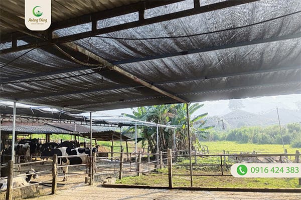 Dự án lưới che nắng Đài Loan làm chuồng trại - Lưới Nông Nghiệp Hoàng Dũng Green - Công Ty TNHH Hoàng Dũng Green Việt Nam