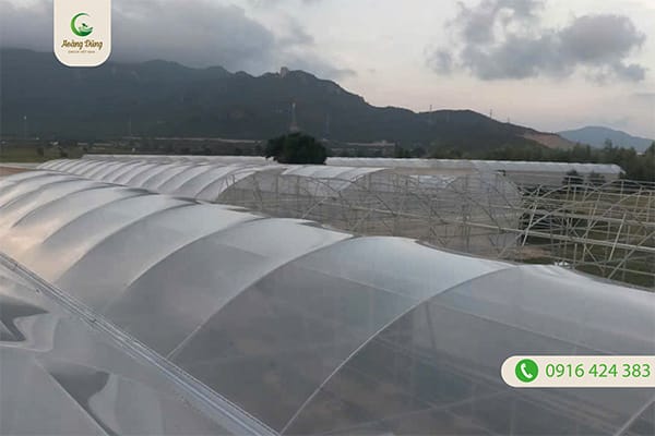 Dự án màng nhà kính - Lưới Nông Nghiệp Hoàng Dũng Green - Công Ty TNHH Hoàng Dũng Green Việt Nam