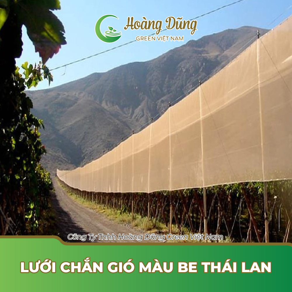 Lưới chắn gió màu be Thái Lan - Lưới Nông Nghiệp Hoàng Dũng Green - Công Ty TNHH Hoàng Dũng Green Việt Nam