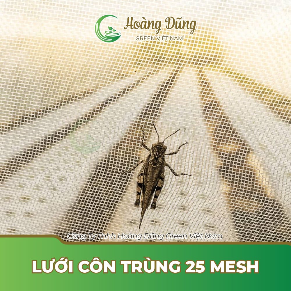 Lưới côn trùng 25 mesh - Lưới Nông Nghiệp Hoàng Dũng Green - Công Ty TNHH Hoàng Dũng Green Việt Nam