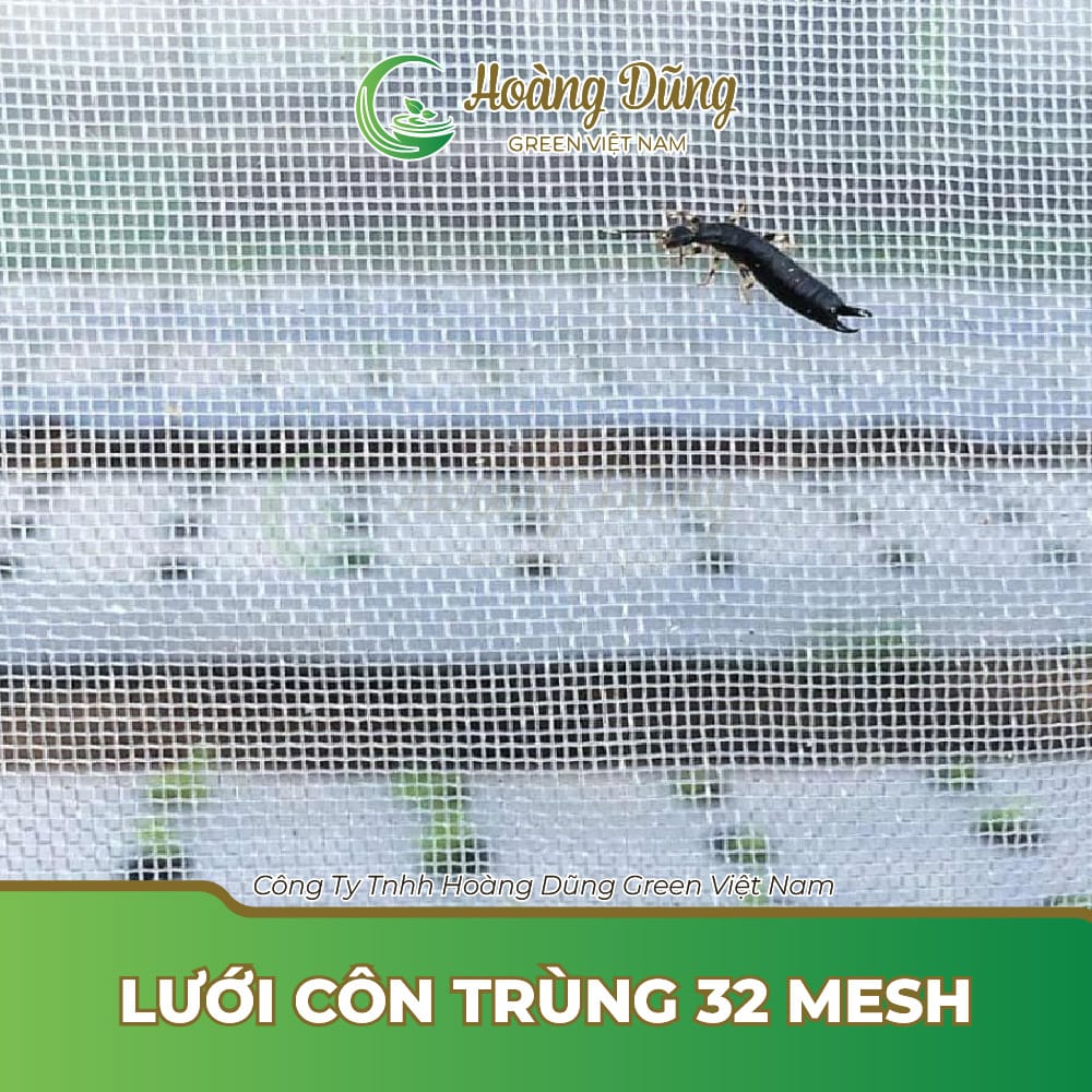 Lưới côn trùng 32 mesh - Lưới Nông Nghiệp Hoàng Dũng Green - Công Ty TNHH Hoàng Dũng Green Việt Nam