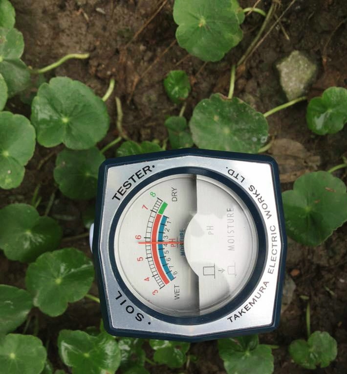 máy đo PH đất