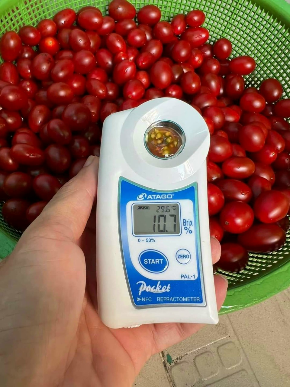 máy đo độ ngọt