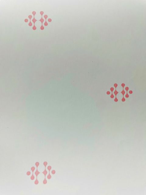 Decal giấy