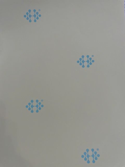 Decal giấy