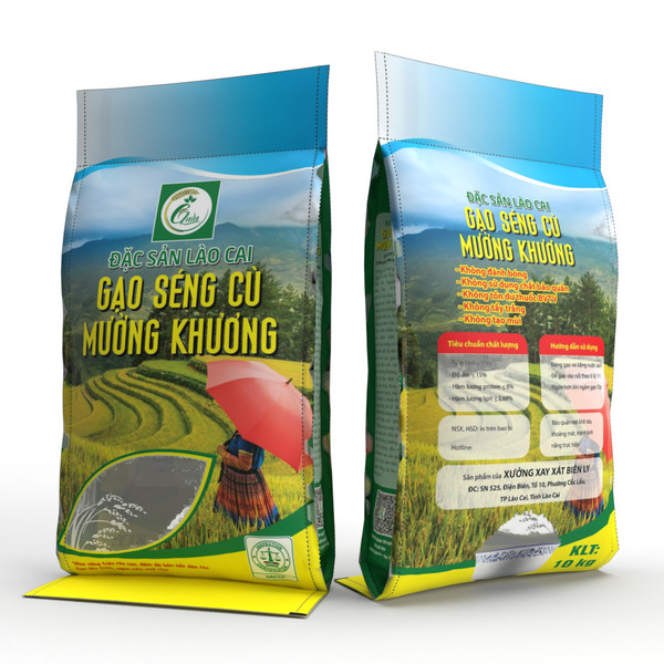 Bao PP dệt in ghép ảnh đựng gạo 10kg