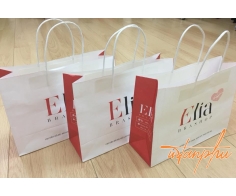 In túi giấy - In Tân Phú - Công Ty TNHH Sản Xuất In ấn Và Bao Bì Tân Phú
