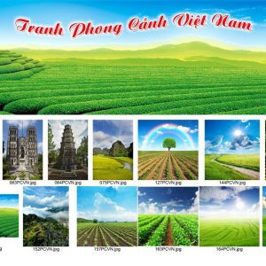 Cửa kính in phong cảnh Việt Nam - Cửa Quang Anh Phát - Công Ty TNHH SX TM Và DV Quang Anh Phát