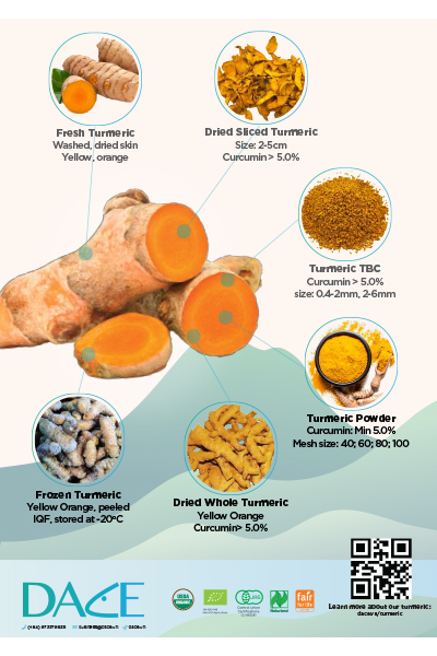 Dace Turmeric Brochure - Nông Sản Gia Vị DACE - Công Ty TNHH Phát Triển Nông Nghiệp Và Tư Vấn Môi Trường (DACE)