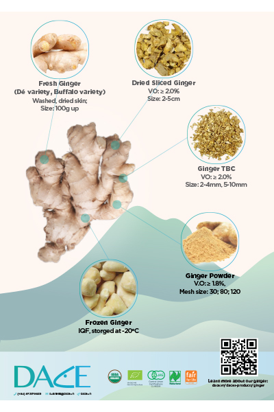 Dace Ginger Brochure - Nông Sản Gia Vị DACE - Công Ty TNHH Phát Triển Nông Nghiệp Và Tư Vấn Môi Trường (DACE)