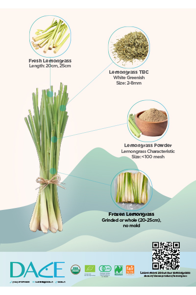 Dace Lemongrass Brochure - Nông Sản Gia Vị DACE - Công Ty TNHH Phát Triển Nông Nghiệp Và Tư Vấn Môi Trường (DACE)