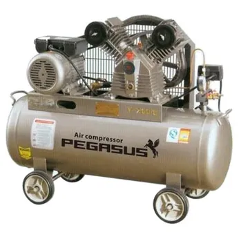 Máy nén khí Pegasus TM-W-1.0/8-330L