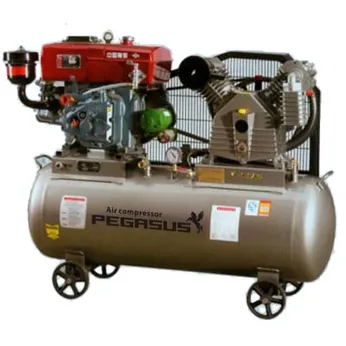 Máy nén khí chạy bằng dầu TM-W-1.0/8-330L