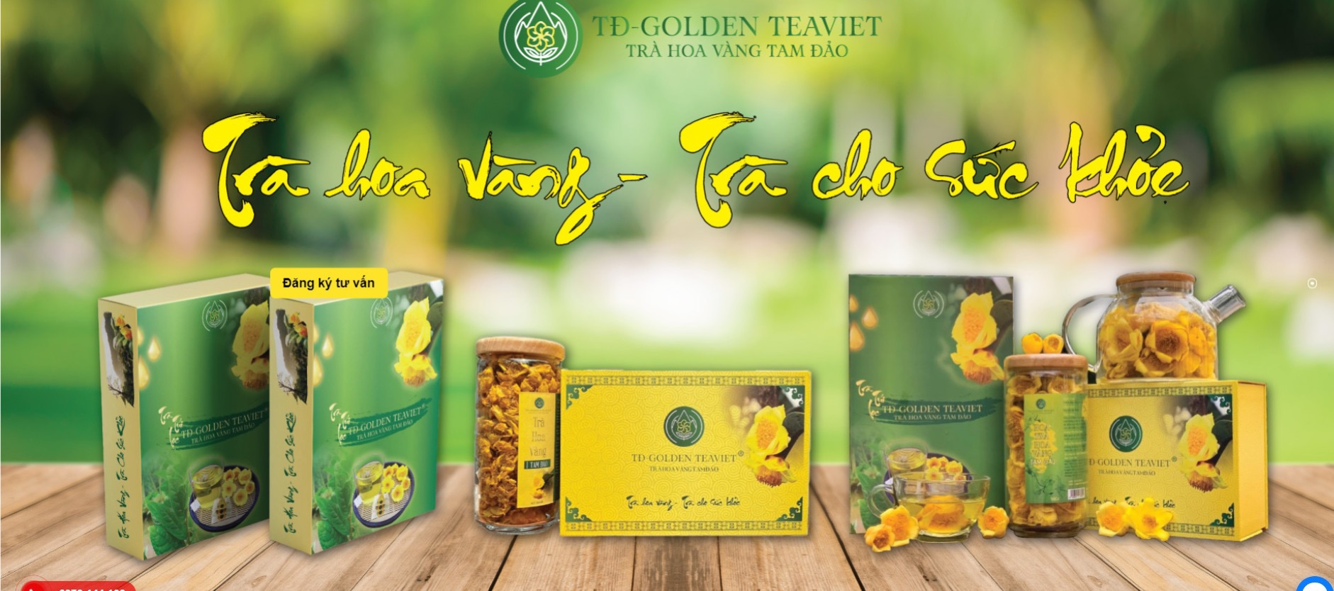 Trà hoa vàng Tam Đảo