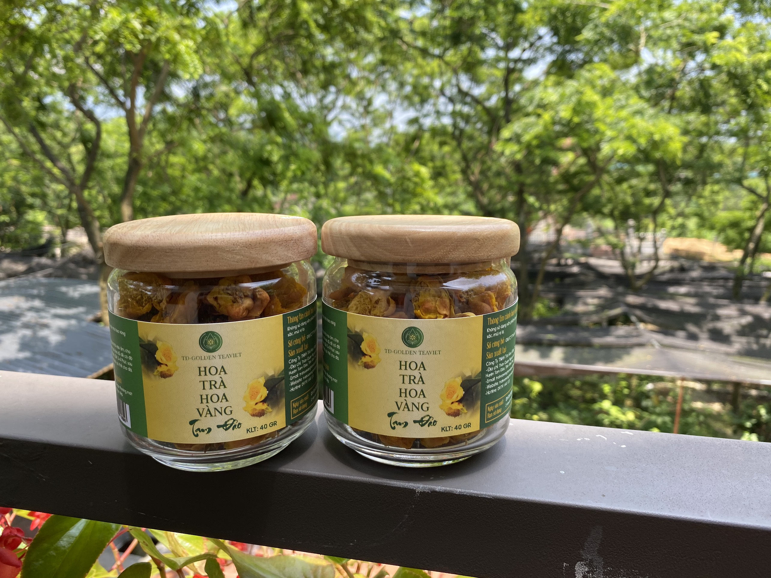 Trà hoa vàng Tam Đảo