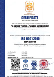 Giấy chứng nhận ISO 9001:2015 - Bao Bì PGS Việt Nhật - Công Ty TNHH Bao Bì Và In PGS Việt Nhật