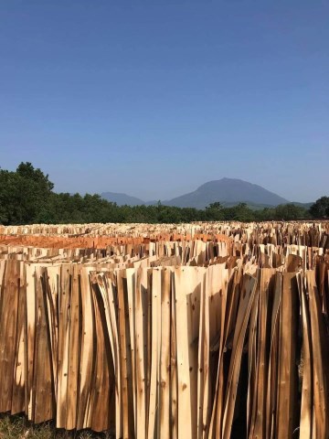 Tăm nhang - Công Ty TNHH Đầu Tư Thương Mại Trường Chinh