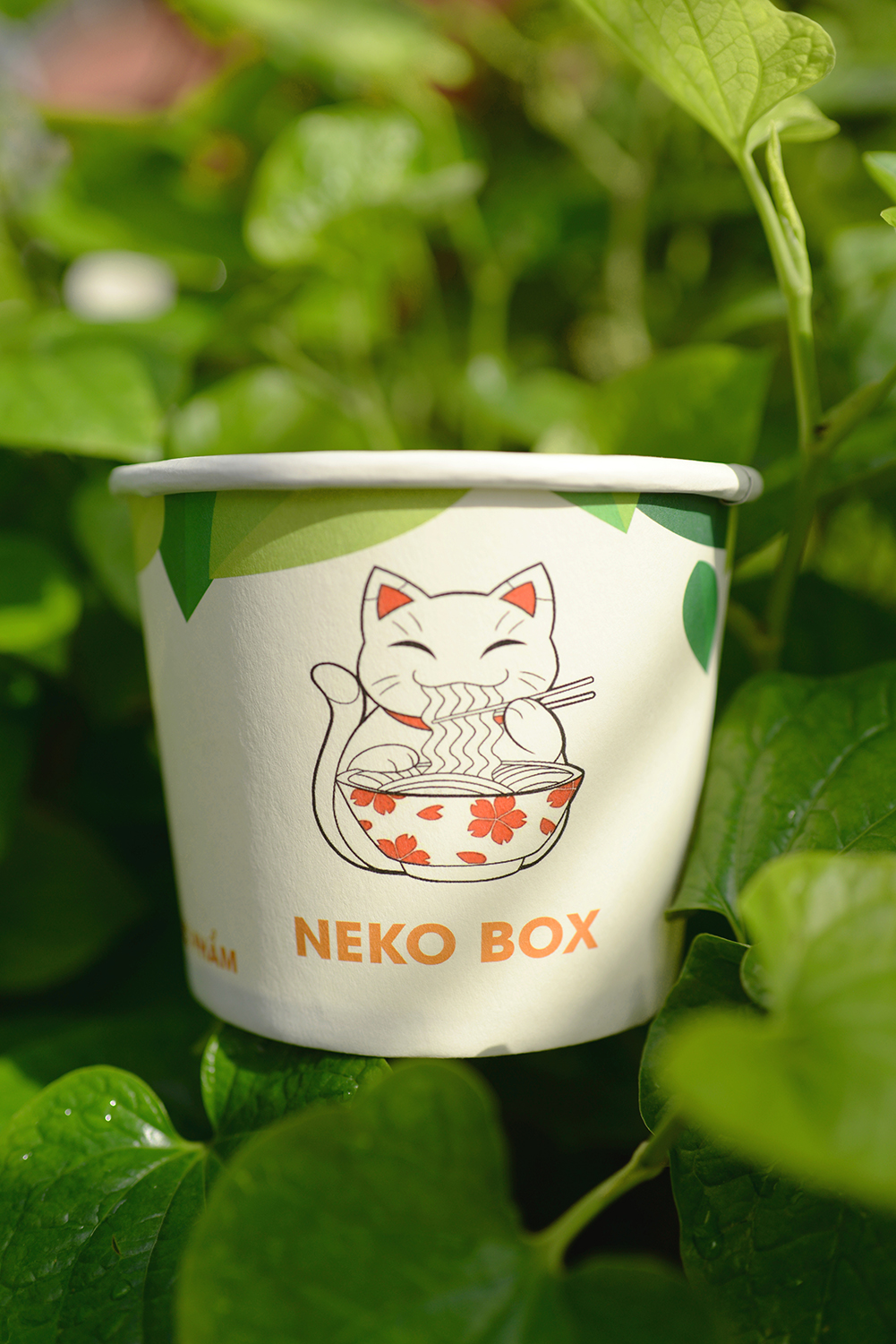 Tô giấy 700ml in thương hiệu - Công Ty TNHH Giải Pháp Thiết Kế - In ấn Và Quảng Cáo Neko Box